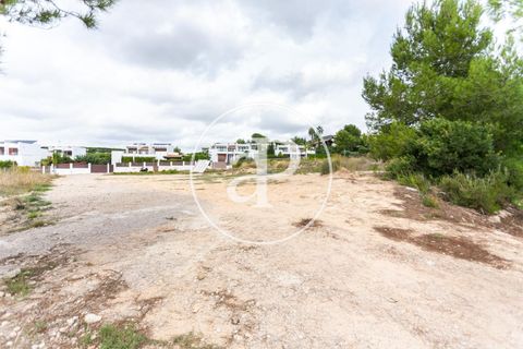 Helårsgrund i Chiva, Valencia, Chiva - € 440.000 | Ref: VV2506013 - foto 20