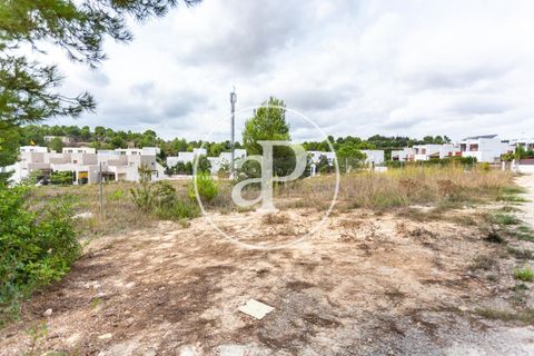 Helårsgrund i Chiva, Valencia, Chiva - € 440.000 | Ref: VV2506013 - foto 24