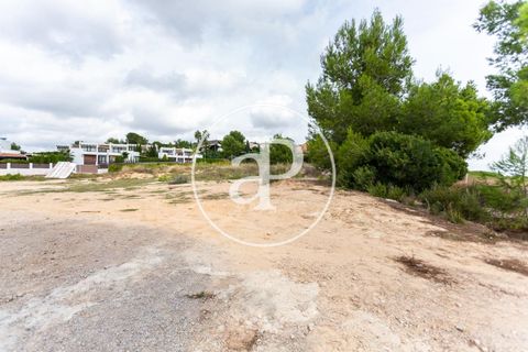 Helårsgrund i Chiva, Valencia, Chiva - € 440.000 | Ref: VV2506013 - foto 25