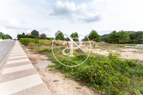 Helårsgrund i Chiva, Valencia, Chiva - € 440.000 | Ref: VV2506013 - foto 28