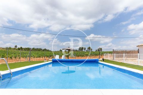 Terra a Utiel, Valencia, Utiel - € 1.350.000 | Ref: VV2506015 - foto 4