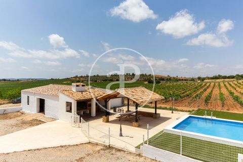 Terra a Utiel, Valencia, Utiel - € 1.350.000 | Ref: VV2506015 - foto 5