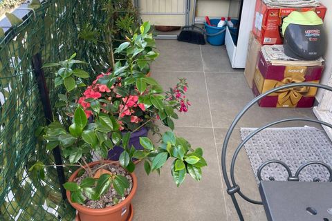 Lejlighed i Ventimiglia, Imperia, Ventimiglia - € 170.000 | Ref: F159-1439 - foto 14