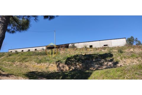Gård i Gestaco, Porto, Gestaco - € 595 000 | Ref: bai_P250301 - foto 3