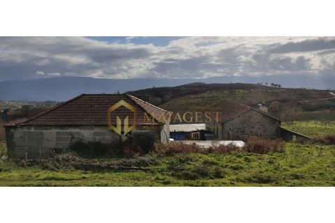 Gård i Gestaco, Porto, Gestaco - € 595 000 | Ref: bai_P250301 - foto 13