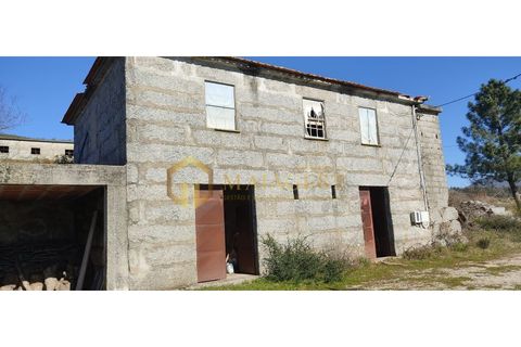 Gård i Gestaco, Porto, Gestaco - € 595 000 | Ref: bai_P250301 - foto 15