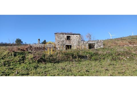 Gård i Gestaco, Porto, Gestaco - € 595 000 | Ref: bai_P250301 - foto 20