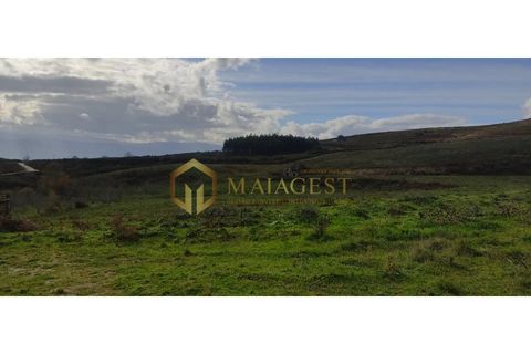 Gård i Gestaco, Porto, Gestaco - € 595 000 | Ref: bai_P250301 - foto 21