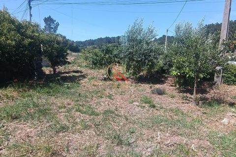 Helårsgrund i Lousa, Coimbra, Lousa - € 105.000 | Ref: KAT124 - foto 5