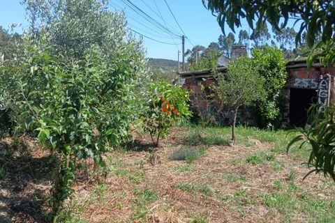 Helårsgrund i Lousa, Coimbra, Lousa - € 105.000 | Ref: KAT124 - foto 8