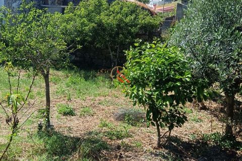 Helårsgrund i Lousa, Coimbra, Lousa - € 105.000 | Ref: KAT124 - foto 12