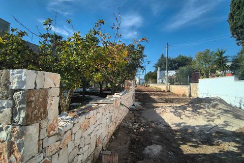 Villa i Monopoli, Bari, Monopoli - € 220.000 | Ref: 37271006-3 - foto 6