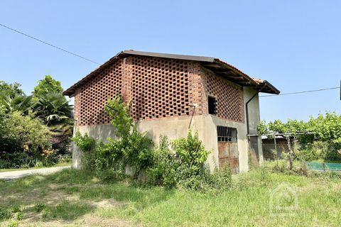 Terra a Vische, Turin, Vische - € 55.000 | Ref: 55000 Vische - foto 5