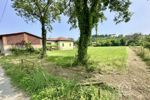 Terra a Vische, Turin, Vische - € 55.000 | Ref: 55000 Vische - foto 10