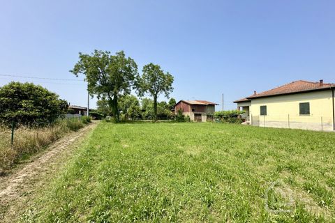 Terra a Vische, Turin, Vische - € 55.000 | Ref: 55000 Vische - foto 15