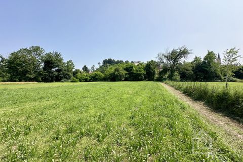Terra a Vische, Turin, Vische - € 55.000 | Ref: 55000 Vische - foto 16