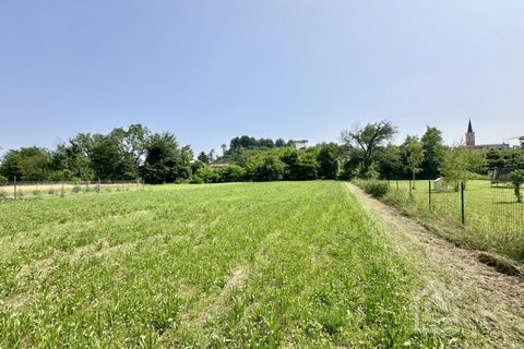 Terra a Vische, Turin, Vische - € 55.000 | Ref: 55000 Vische - foto 29