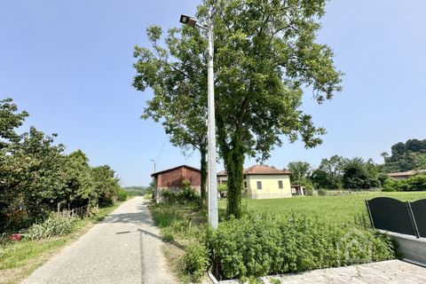Terra a Vische, Turin, Vische - € 55.000 | Ref: 55000 Vische - foto 30