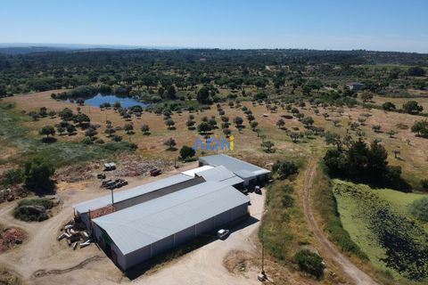 Helårsgrund i Escalos de Cima e Lousa, Castelo Branco, Escalos de Cima e Lousa - € 750.000 | Ref: 125051 - foto 1
