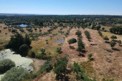 Helårsgrund i Escalos de Cima e Lousa, Castelo Branco, Escalos de Cima e Lousa - € 750.000 | Ref: 125051 - foto 2