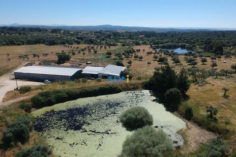 Helårsgrund i Escalos de Cima e Lousa, Castelo Branco, Escalos de Cima e Lousa - € 750.000 | Ref: 125051 - foto 4