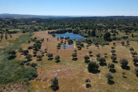 Helårsgrund i Escalos de Cima e Lousa, Castelo Branco, Escalos de Cima e Lousa - € 750.000 | Ref: 125051 - foto 5