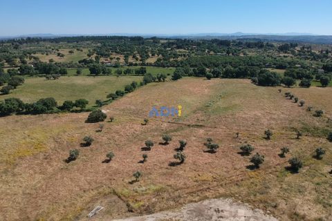 Helårsgrund i Escalos de Cima e Lousa, Castelo Branco, Escalos de Cima e Lousa - € 750.000 | Ref: 125051 - foto 6