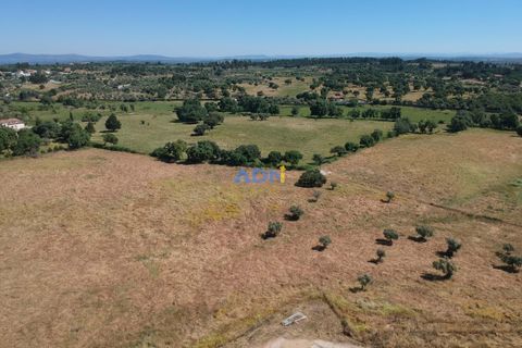Helårsgrund i Escalos de Cima e Lousa, Castelo Branco, Escalos de Cima e Lousa - € 750.000 | Ref: 125051 - foto 7