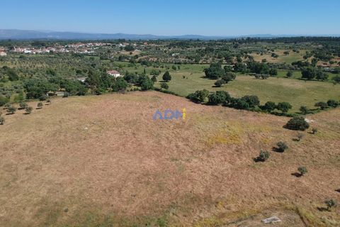 Helårsgrund i Escalos de Cima e Lousa, Castelo Branco, Escalos de Cima e Lousa - € 750.000 | Ref: 125051 - foto 8