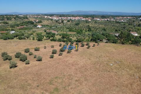 Helårsgrund i Escalos de Cima e Lousa, Castelo Branco, Escalos de Cima e Lousa - € 750.000 | Ref: 125051 - foto 9