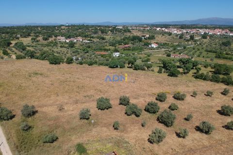 Helårsgrund i Escalos de Cima e Lousa, Castelo Branco, Escalos de Cima e Lousa - € 750.000 | Ref: 125051 - foto 10