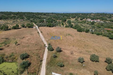 Helårsgrund i Escalos de Cima e Lousa, Castelo Branco, Escalos de Cima e Lousa - € 750.000 | Ref: 125051 - foto 11