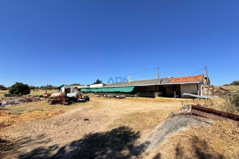 Helårsgrund i Escalos de Cima e Lousa, Castelo Branco, Escalos de Cima e Lousa - € 750.000 | Ref: 125051 - foto 16