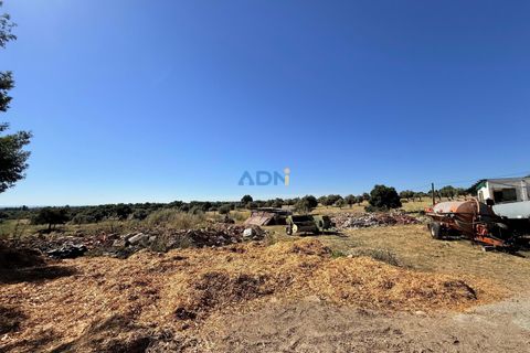 Helårsgrund i Escalos de Cima e Lousa, Castelo Branco, Escalos de Cima e Lousa - € 750.000 | Ref: 125051 - foto 17