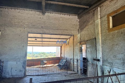 Helårsgrund i Escalos de Cima e Lousa, Castelo Branco, Escalos de Cima e Lousa - € 750.000 | Ref: 125051 - foto 22