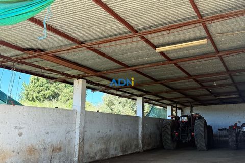 Helårsgrund i Escalos de Cima e Lousa, Castelo Branco, Escalos de Cima e Lousa - € 750.000 | Ref: 125051 - foto 27