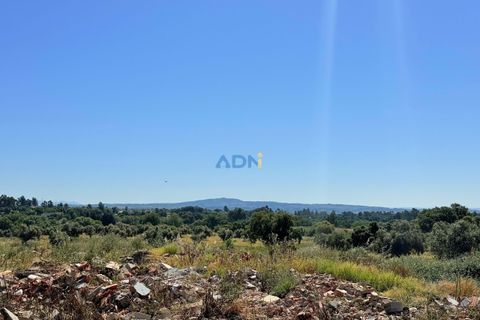 Helårsgrund i Escalos de Cima e Lousa, Castelo Branco, Escalos de Cima e Lousa - € 750.000 | Ref: 125051 - foto 30