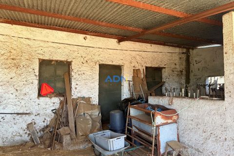Helårsgrund i Escalos de Cima e Lousa, Castelo Branco, Escalos de Cima e Lousa - € 750.000 | Ref: 125051 - foto 33