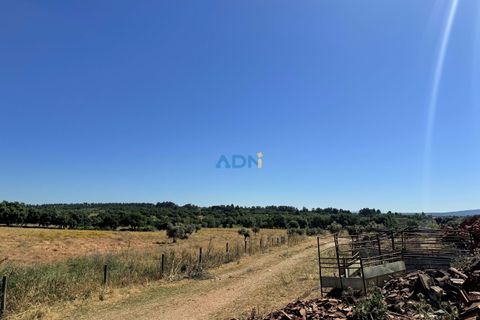 Helårsgrund i Escalos de Cima e Lousa, Castelo Branco, Escalos de Cima e Lousa - € 750.000 | Ref: 125051 - foto 38