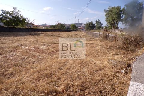 Helårsgrund i Torre do Pinhao, Vila Real, Torre do Pinhao - € 18.000 | Ref: TER_650 - foto 3
