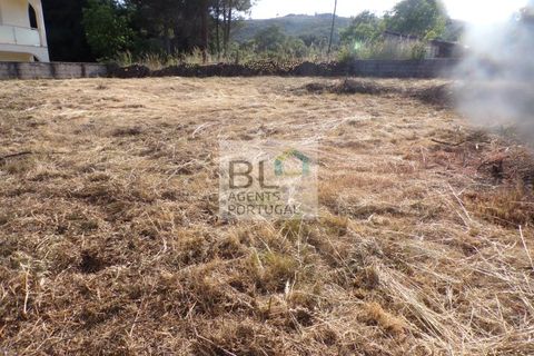 Helårsgrund i Torre do Pinhao, Vila Real, Torre do Pinhao - € 18.000 | Ref: TER_650 - foto 4