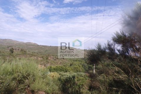 Helårsgrund i Torre do Pinhao, Vila Real, Torre do Pinhao - € 18.000 | Ref: TER_650 - foto 9