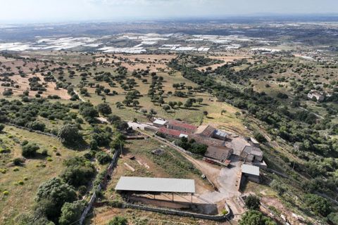 Landejendom i Ragusa, Ragusa, Ragusa - € 700.000 | Ref: L 2096 - foto 4