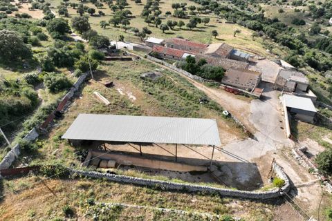 Landejendom i Ragusa, Ragusa, Ragusa - € 700.000 | Ref: L 2096 - foto 5