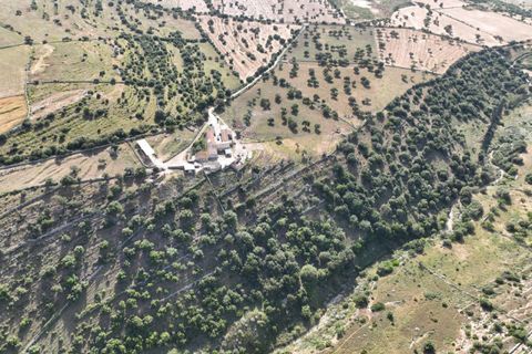 Landejendom i Ragusa, Ragusa, Ragusa - € 700.000 | Ref: L 2096 - foto 19