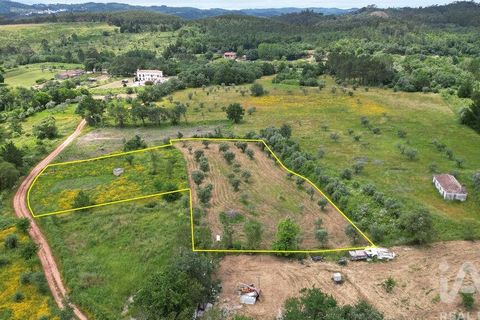 Helårsgrund i Penela, Coimbra, Penela - € 55.000 | Ref: 143956 - foto 1