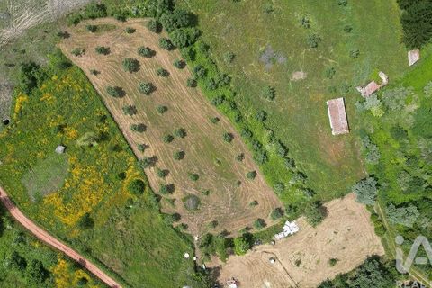 Helårsgrund i Penela, Coimbra, Penela - € 55.000 | Ref: 143956 - foto 2