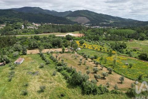 Helårsgrund i Penela, Coimbra, Penela - € 55.000 | Ref: 143956 - foto 5