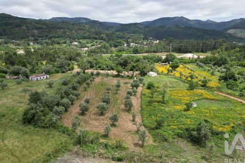 Helårsgrund i Penela, Coimbra, Penela - € 55.000 | Ref: 143956 - foto 6