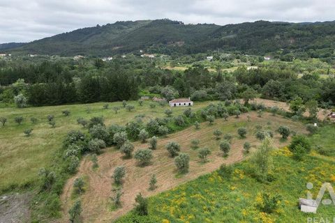 Helårsgrund i Penela, Coimbra, Penela - € 55.000 | Ref: 143956 - foto 7